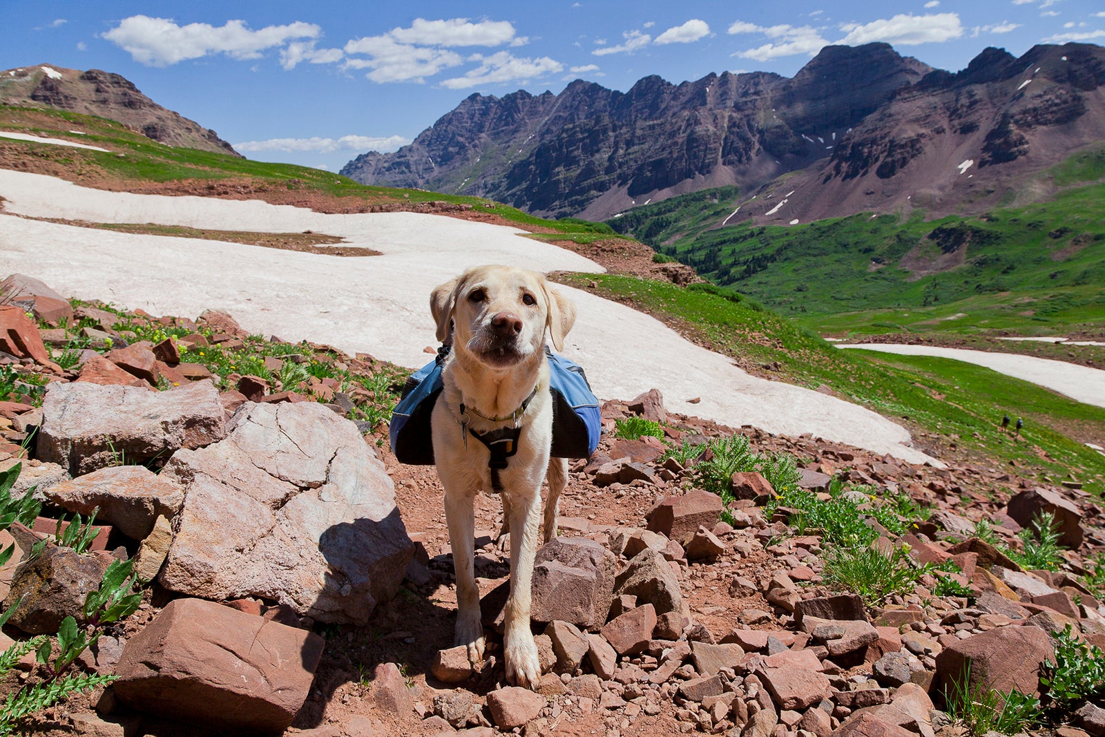 Pet Friendly Vacation Rentals in Empire, CO - BringFido