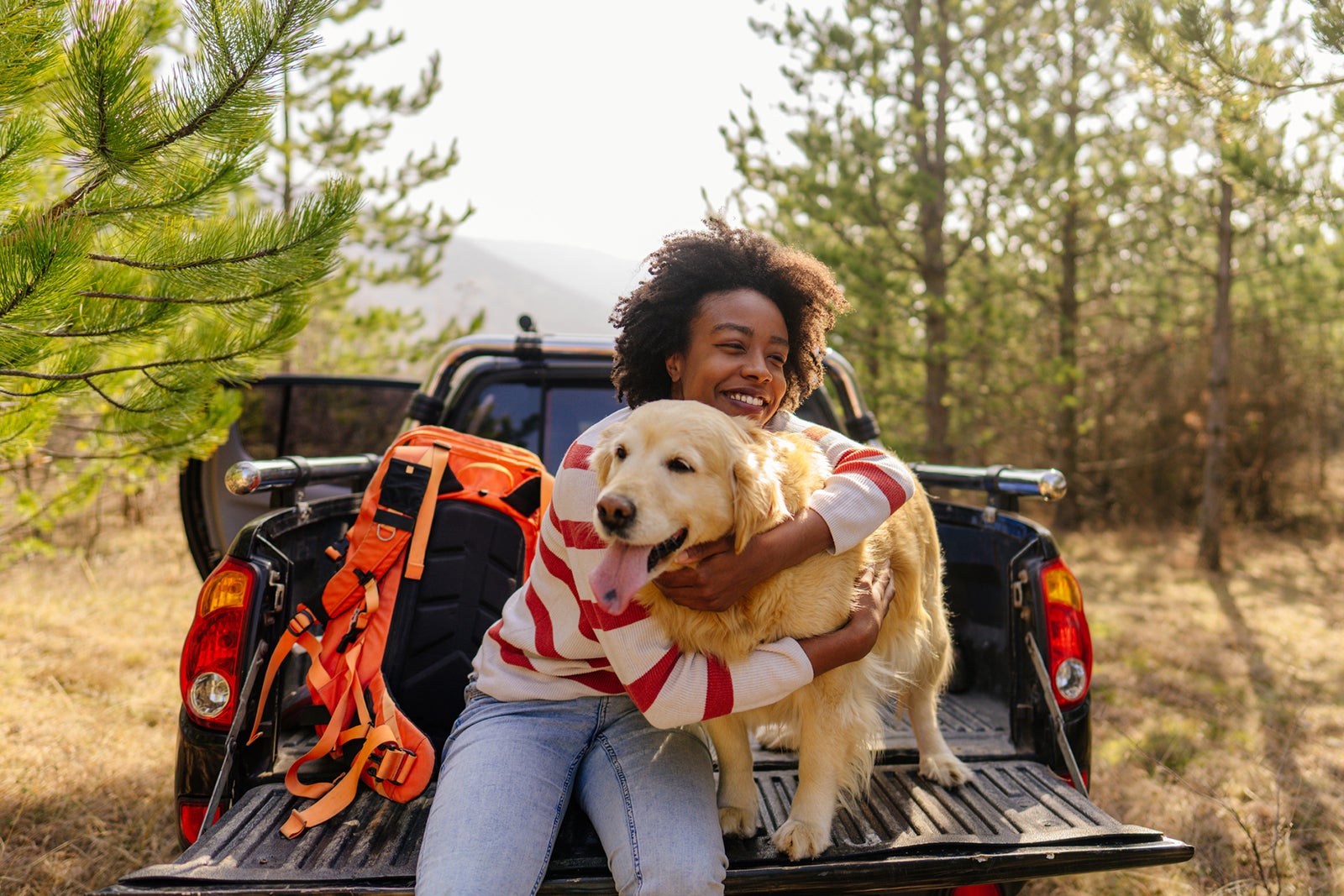 Everything You Need For A Road Trip With Dogs: Dog Travel