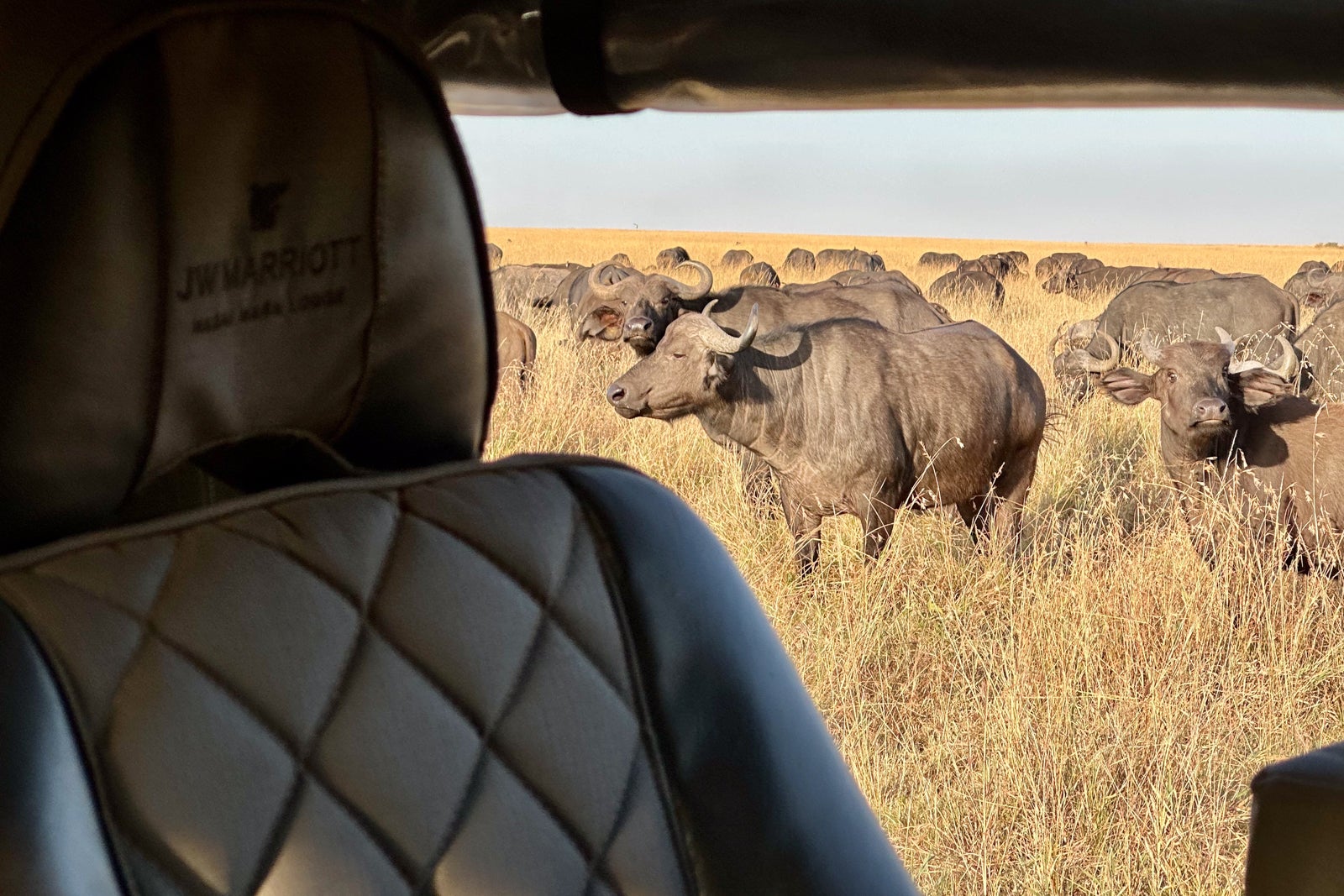 safari masai