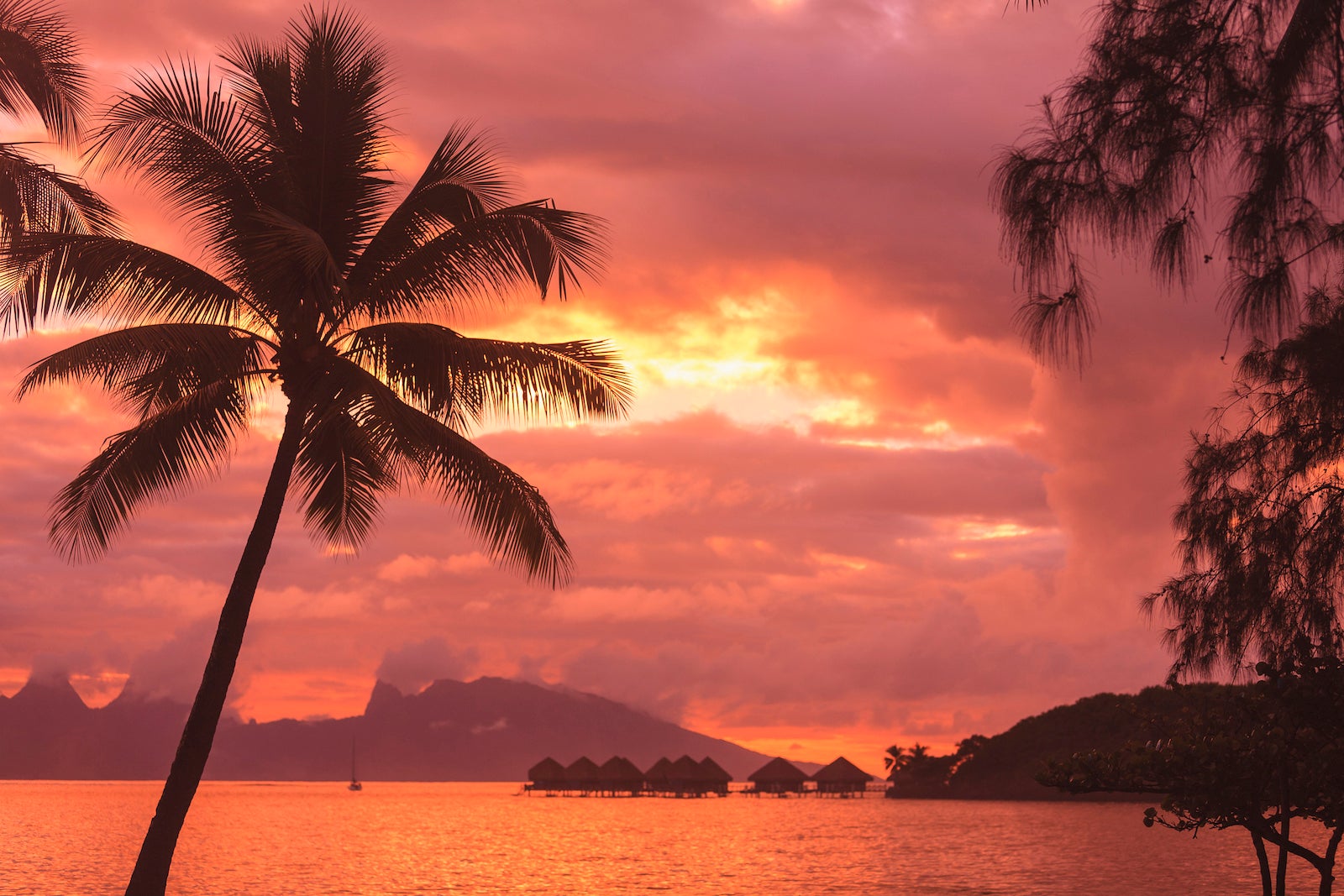 Fly from the US West Coast to Tahiti for as low as 6 round trip this holiday season – The Points Guy