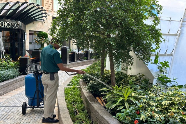 Royal Caribbean's Central Park: Cruise with live plants - The Points Guy