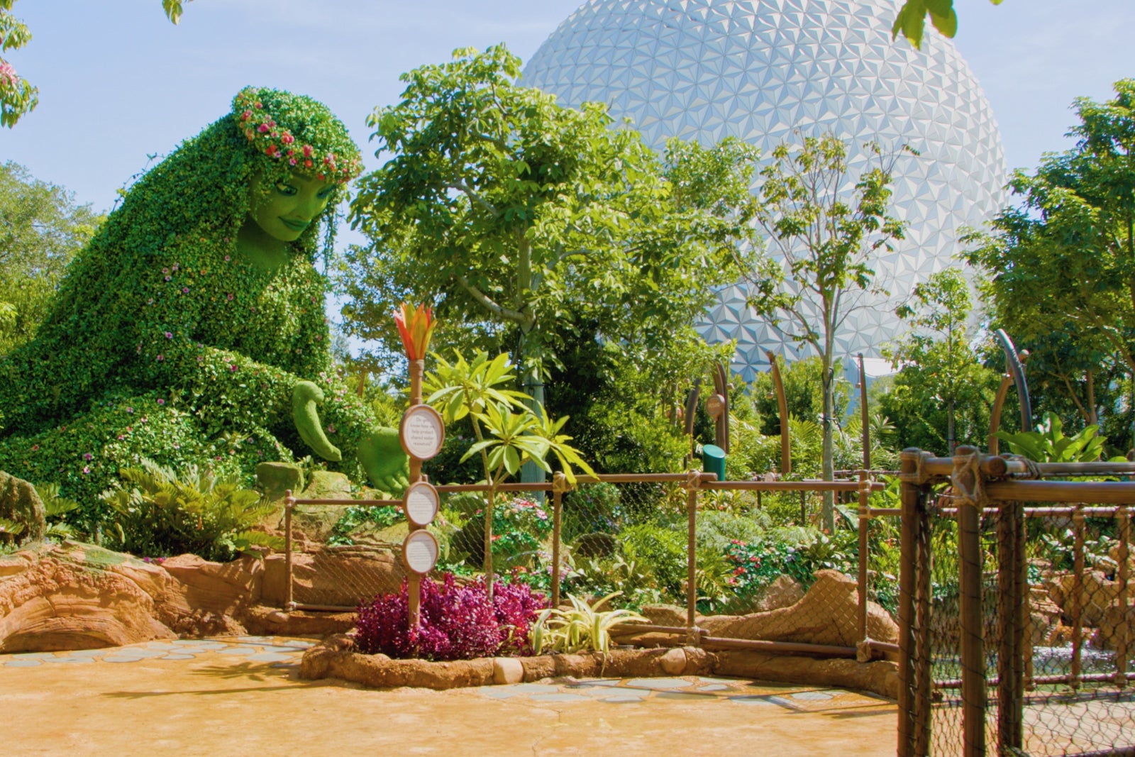 PHOTOS: See What Happened When Something Fell Into a Disney World Animal  Exhibit Today