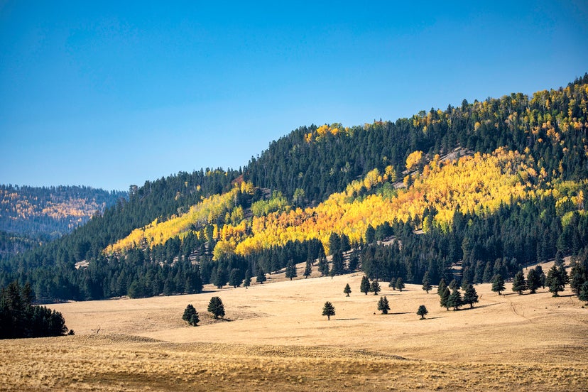 Where and when to see fall foliage across the US this year - The Points Guy