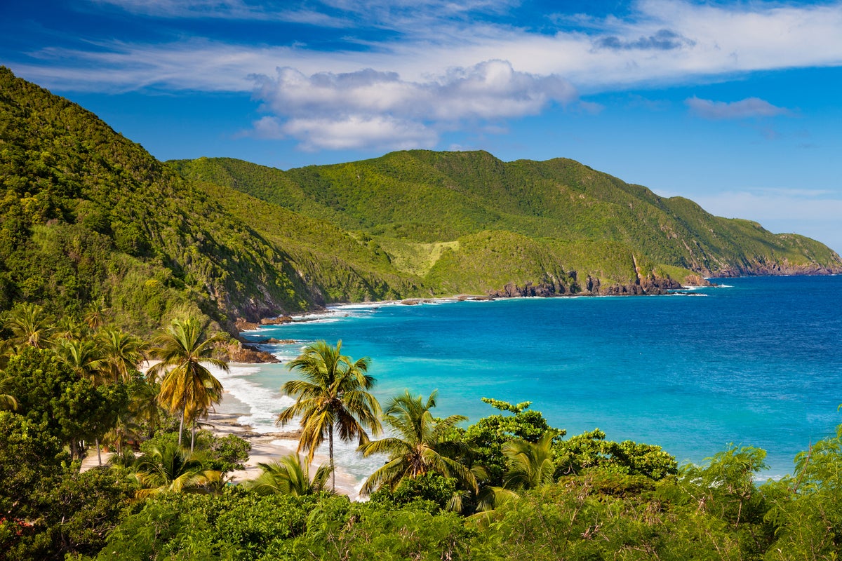 Fly to the US Virgin Islands this winter for as low as $228 round-trip ...