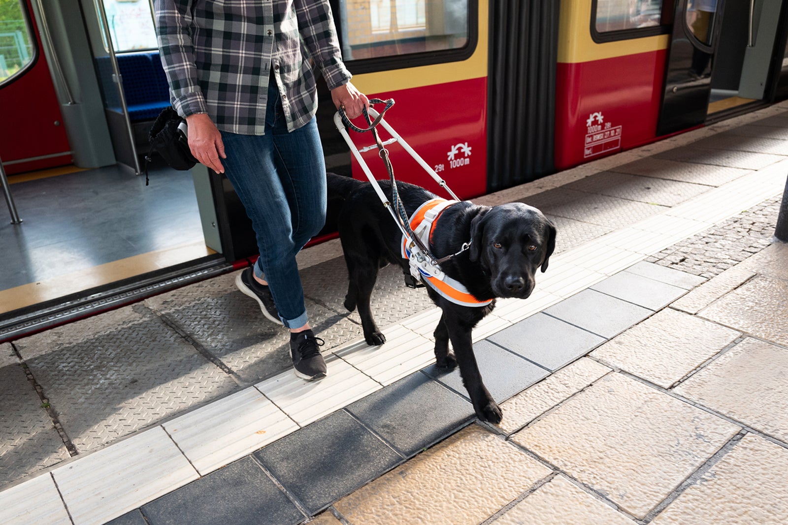 Assistance dog guides a blind woman out of the door of a train