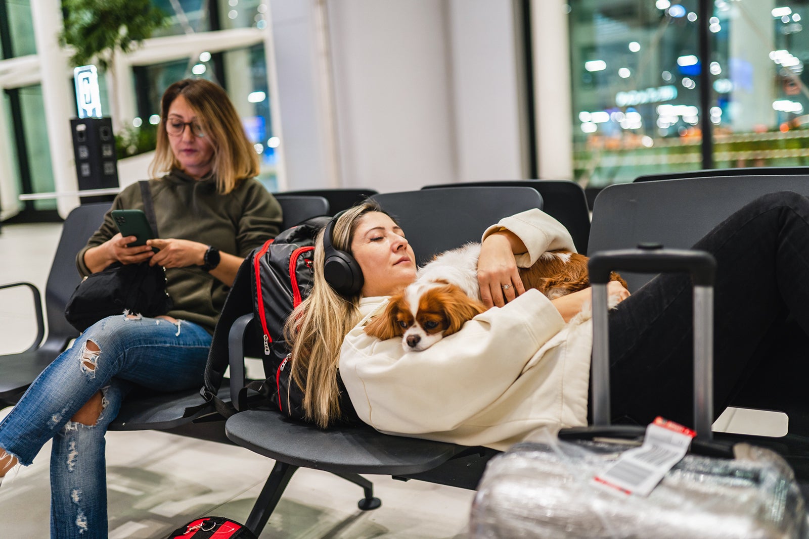 delta international travel with service dog