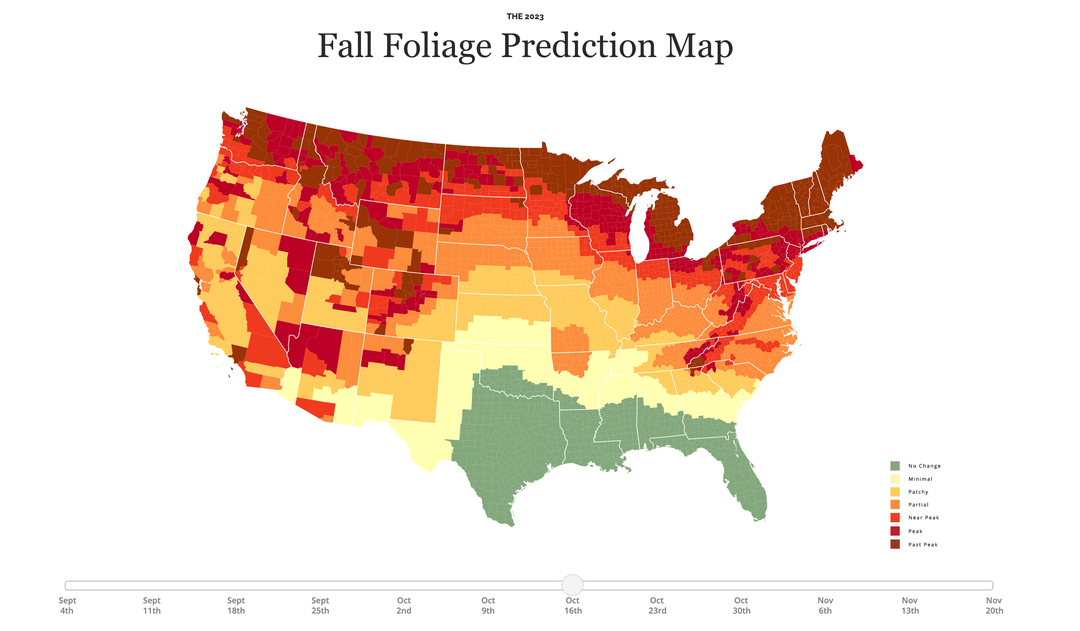 Where And When To See Fall Foliage Across The Us This Year The Points Guy