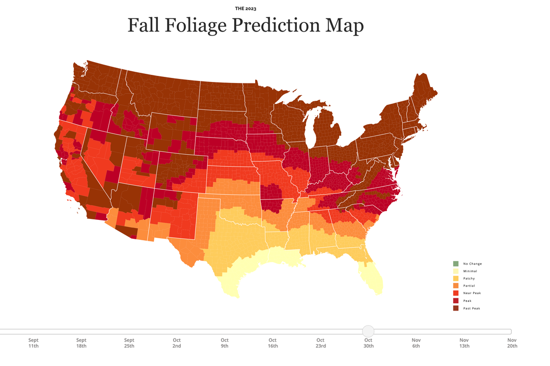 Where and when to see fall foliage across the US this year - The Points Guy