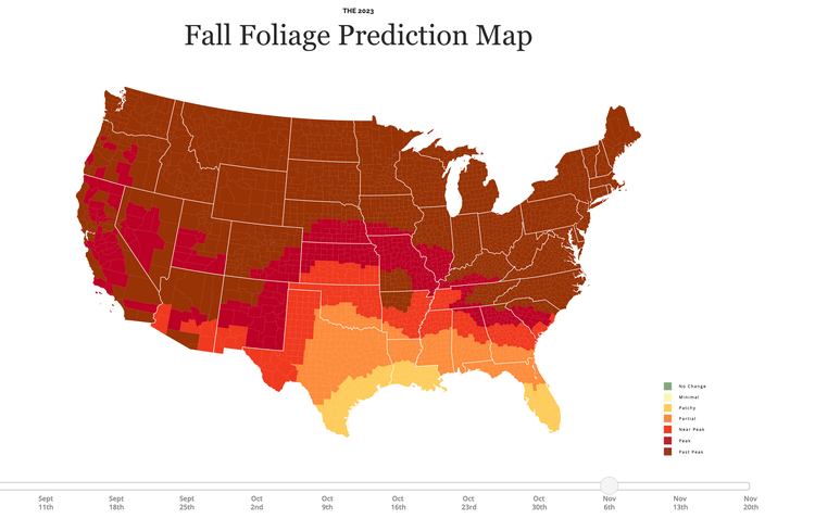 Where and when to see fall foliage across the US this year - The Points Guy