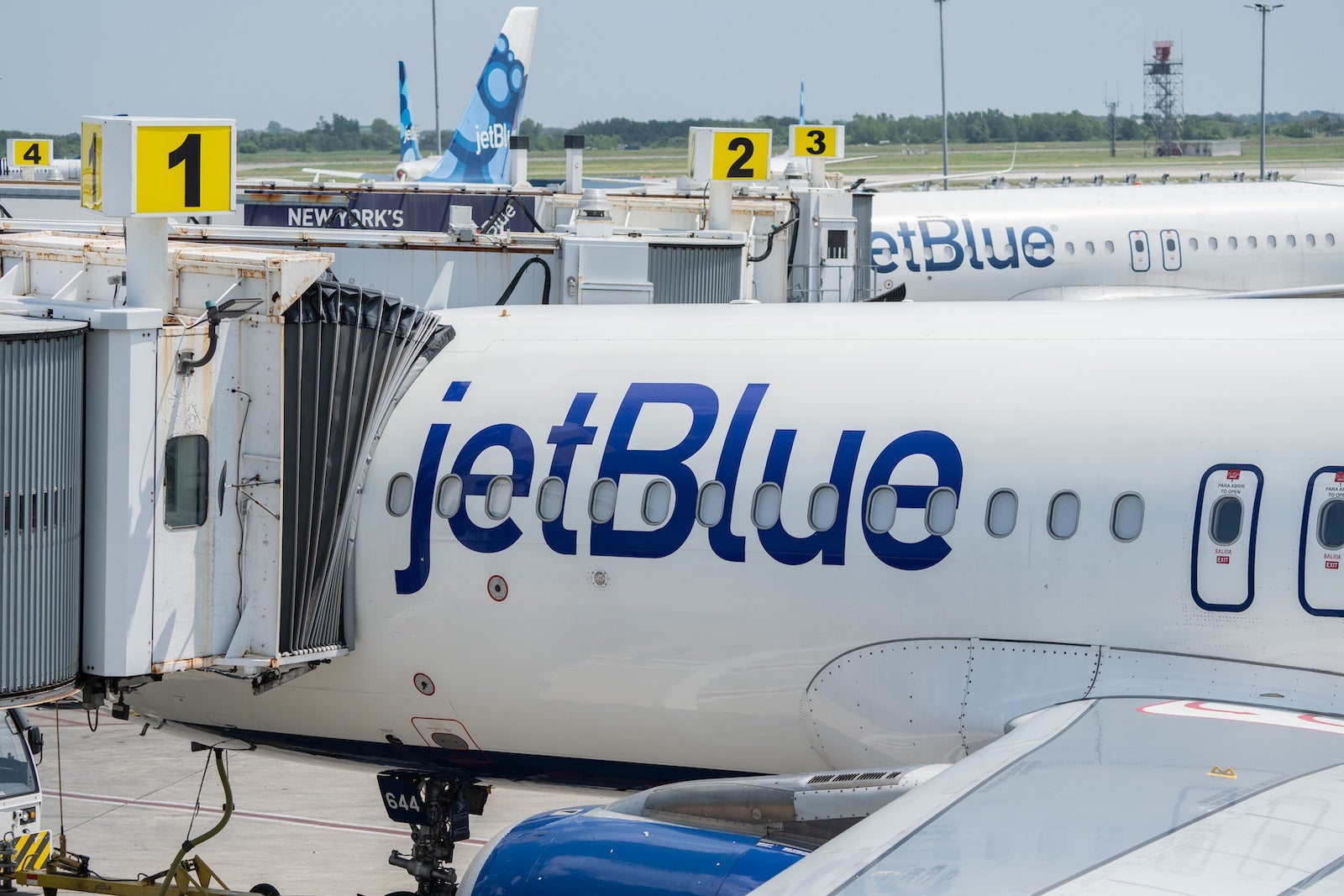 Jetblue one cheap way deals