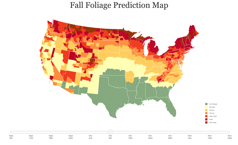 Where and when to see fall foliage across the US this year - The Points Guy