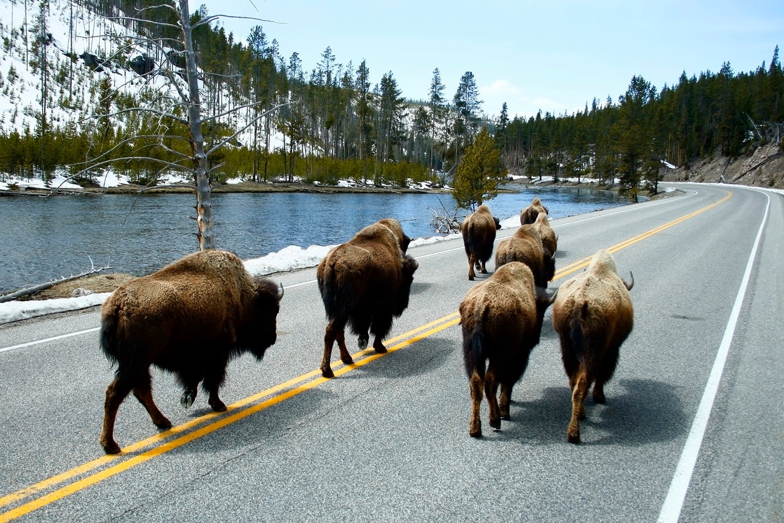 How to plan an epic road trip through Grand Teton and Yellowstone national parks