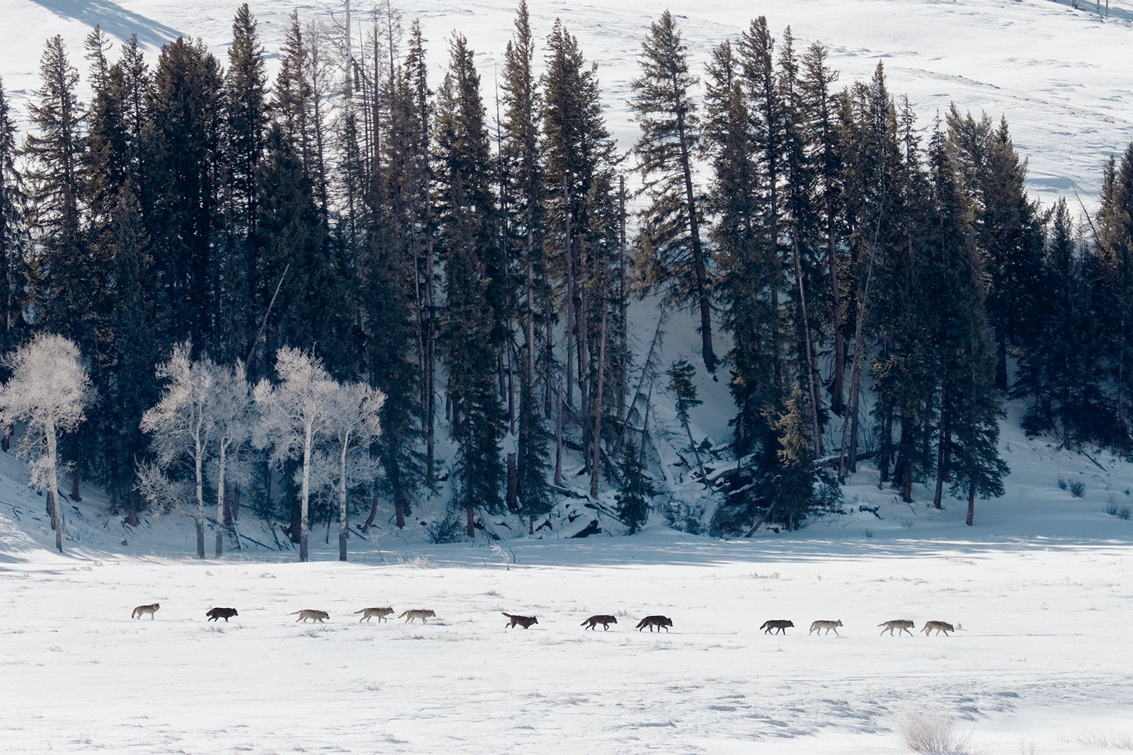 An epic road trip through Grand Teton and Yellowstone national parks ...