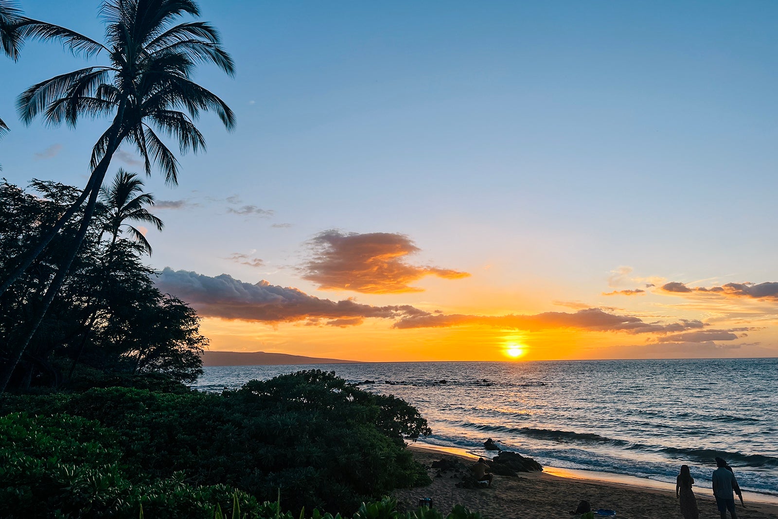 What it is like visiting Maui after the fires, and how one can assist Hawaii recuperate