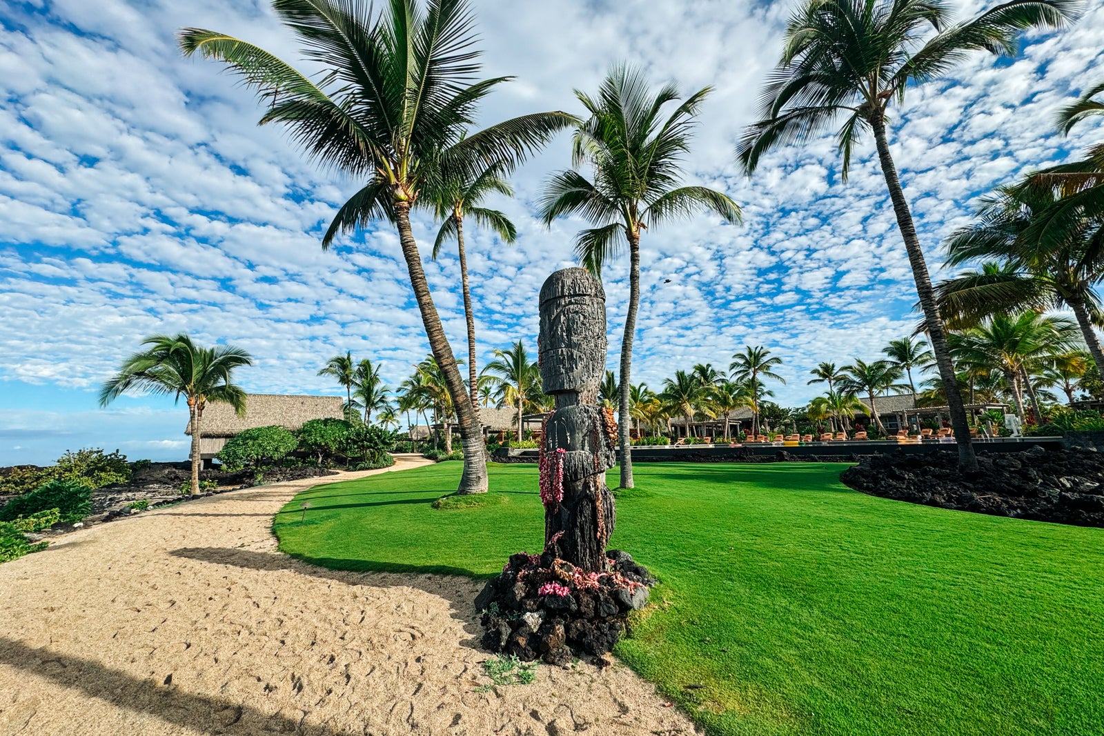 best kona coffee farm tours