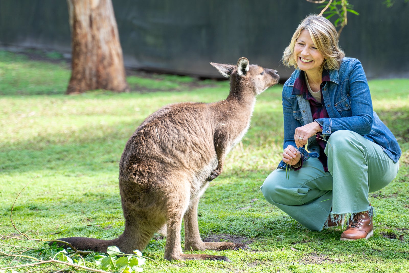 TV host Samantha Brown shares top travel tips and trends ahead of 7th season of ‘Places to Love’