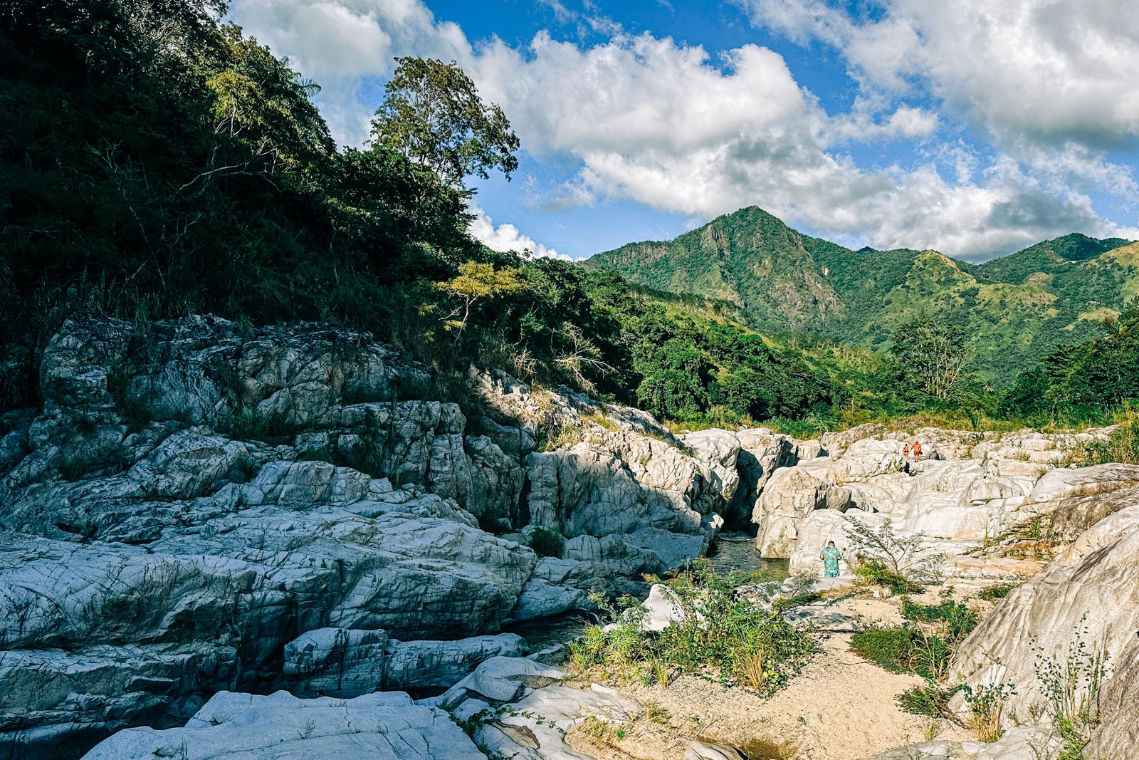 My Puerto Rican journey, from mountaintop to seaside