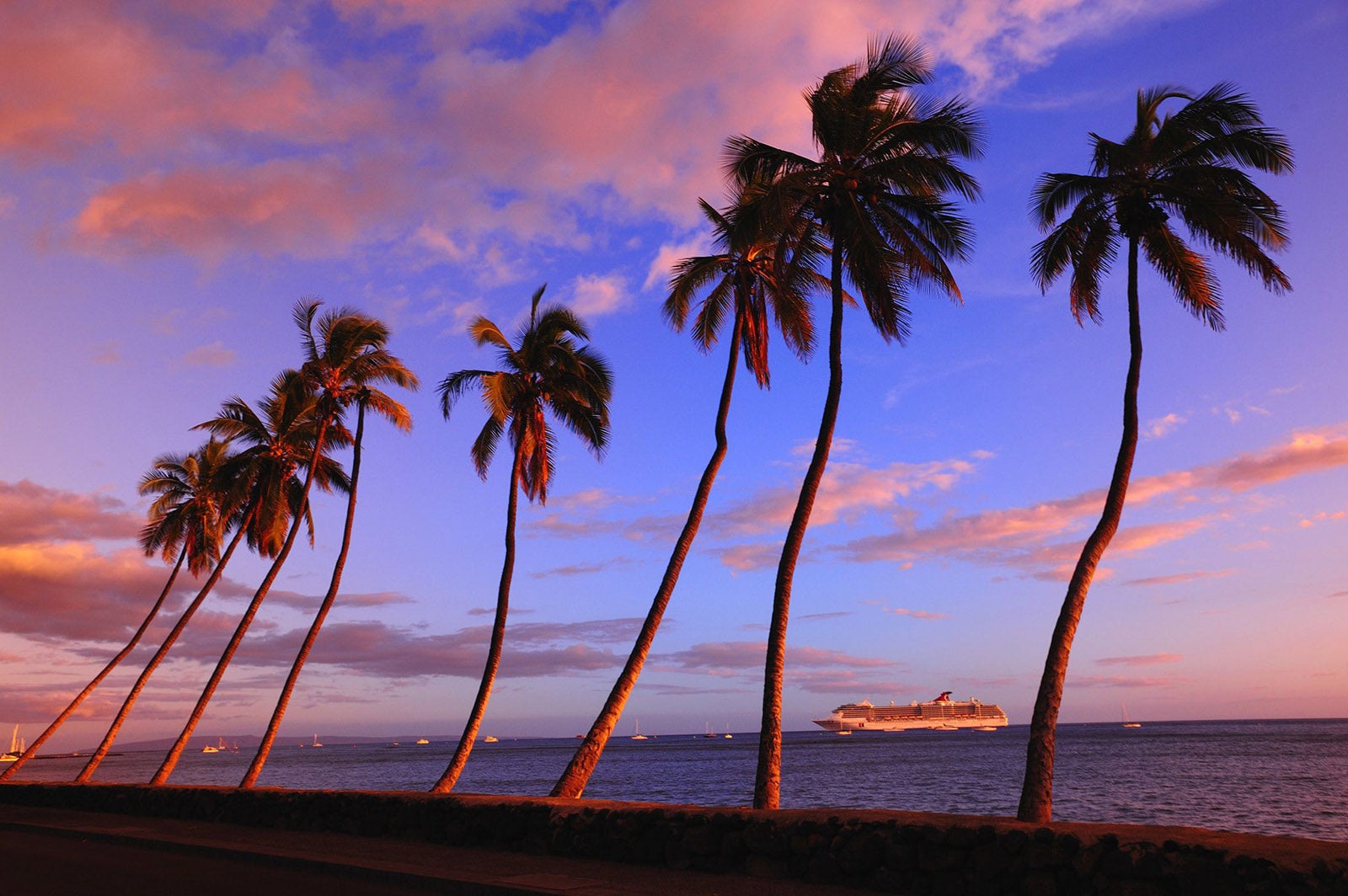 does carnival cruise hawaii