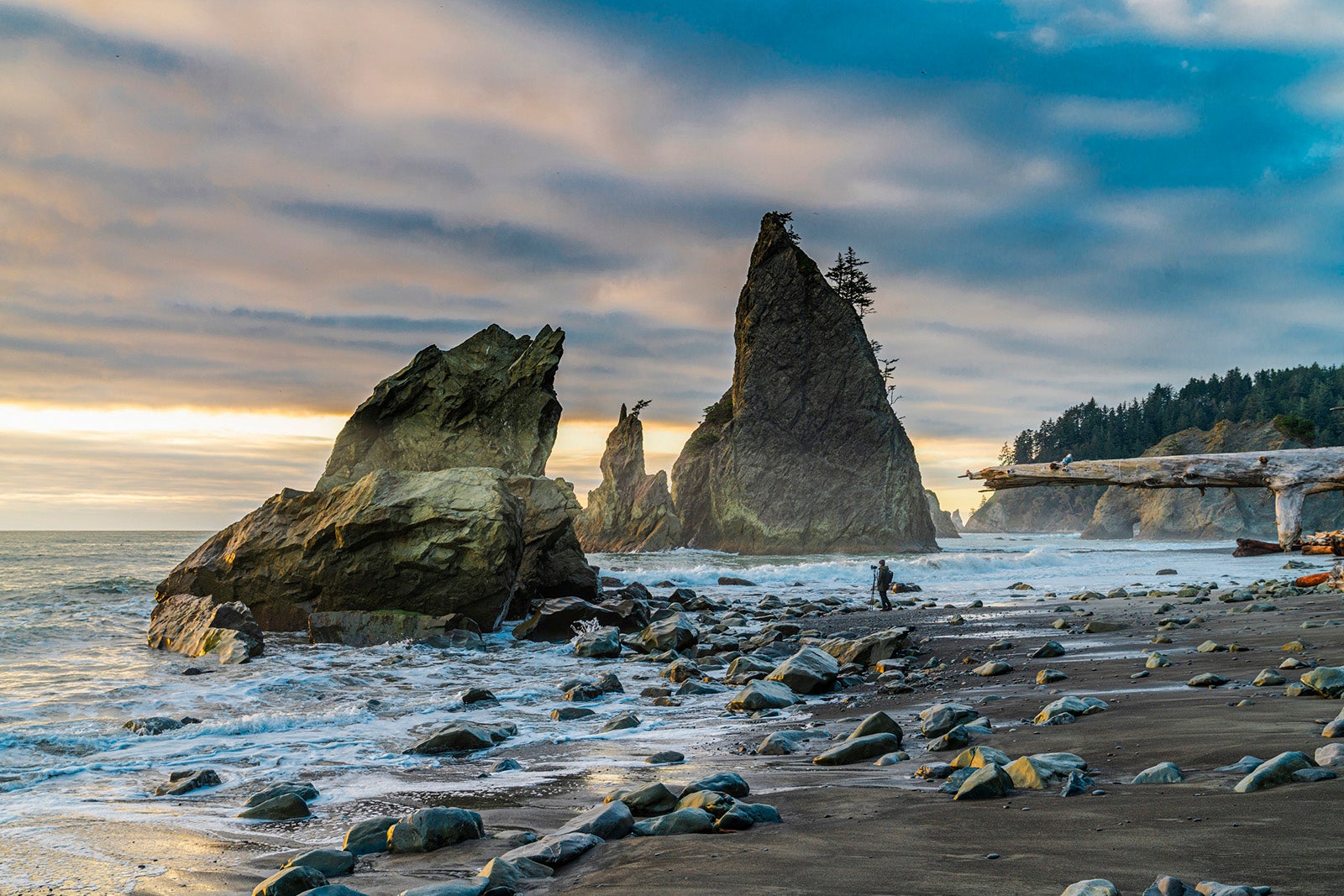 Pacific Northwest road trip: The San Juan Islands and Olympic National Park
