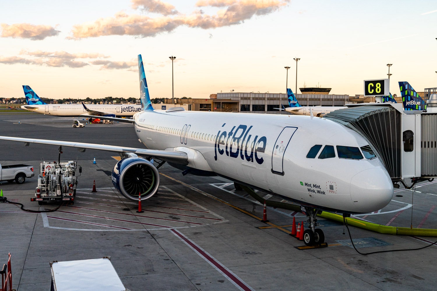 JetBlue appoints trade vet and returning government as new president