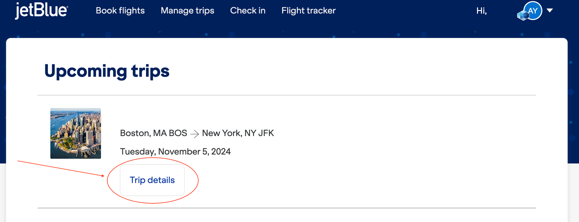 How to change or cancel a JetBlue flight The Points Guy