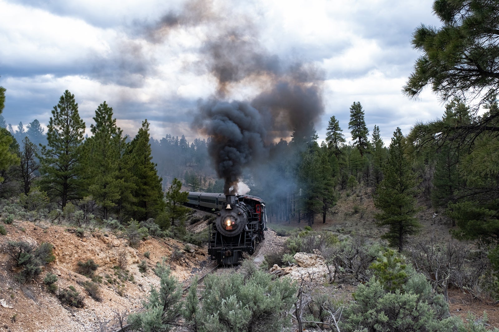 gcr-steam29-mp55