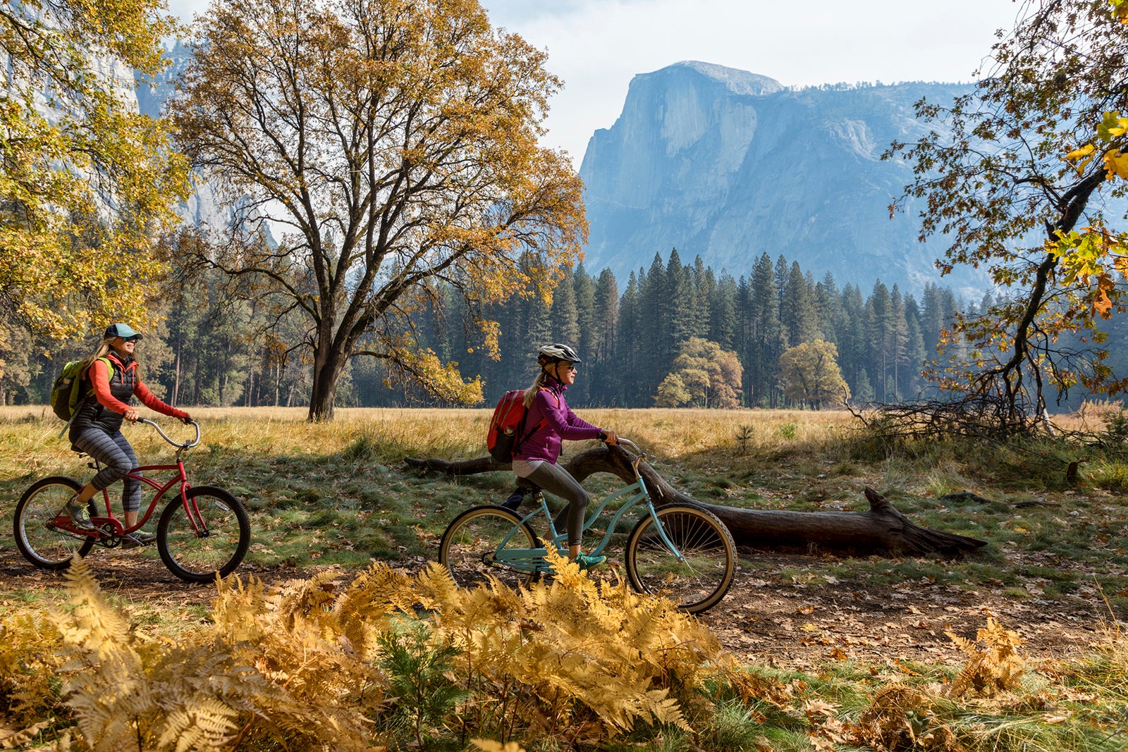 Biking in Yosemite
