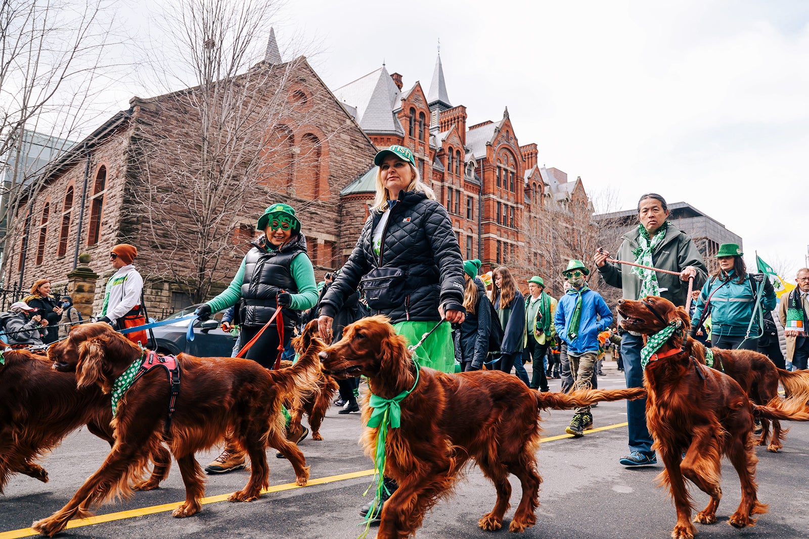 best bars for st patricks day toronto