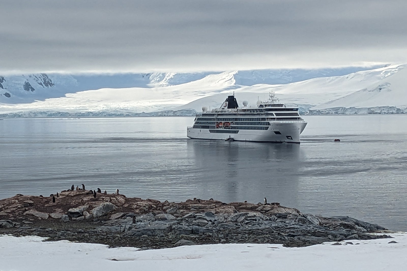 viking-polaris-antarctica-penguins