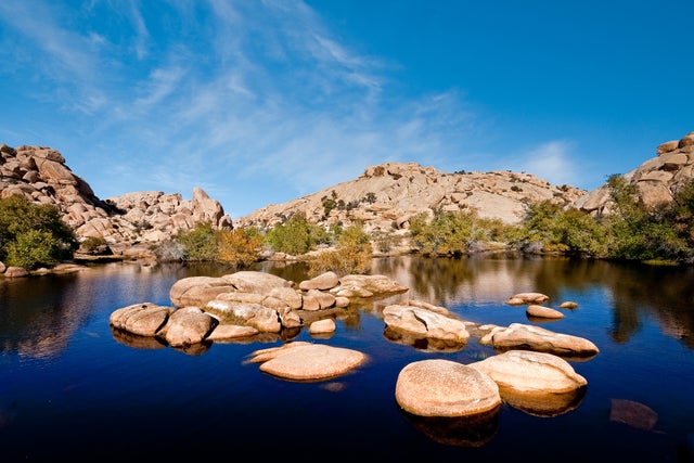 Everything You Need To Know About Visiting Joshua Tree National Park 