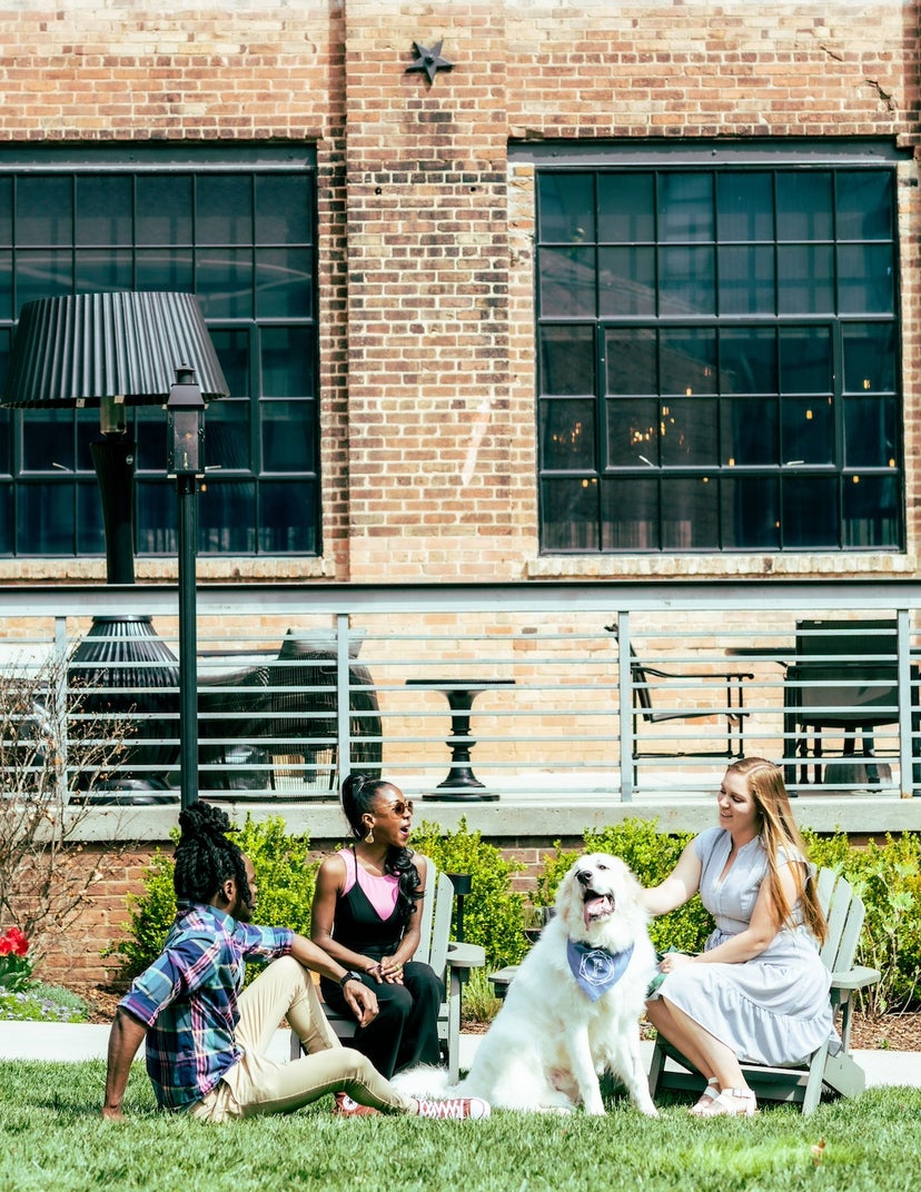 These hotels go all-out with luxury pet amenities - The Points Guy