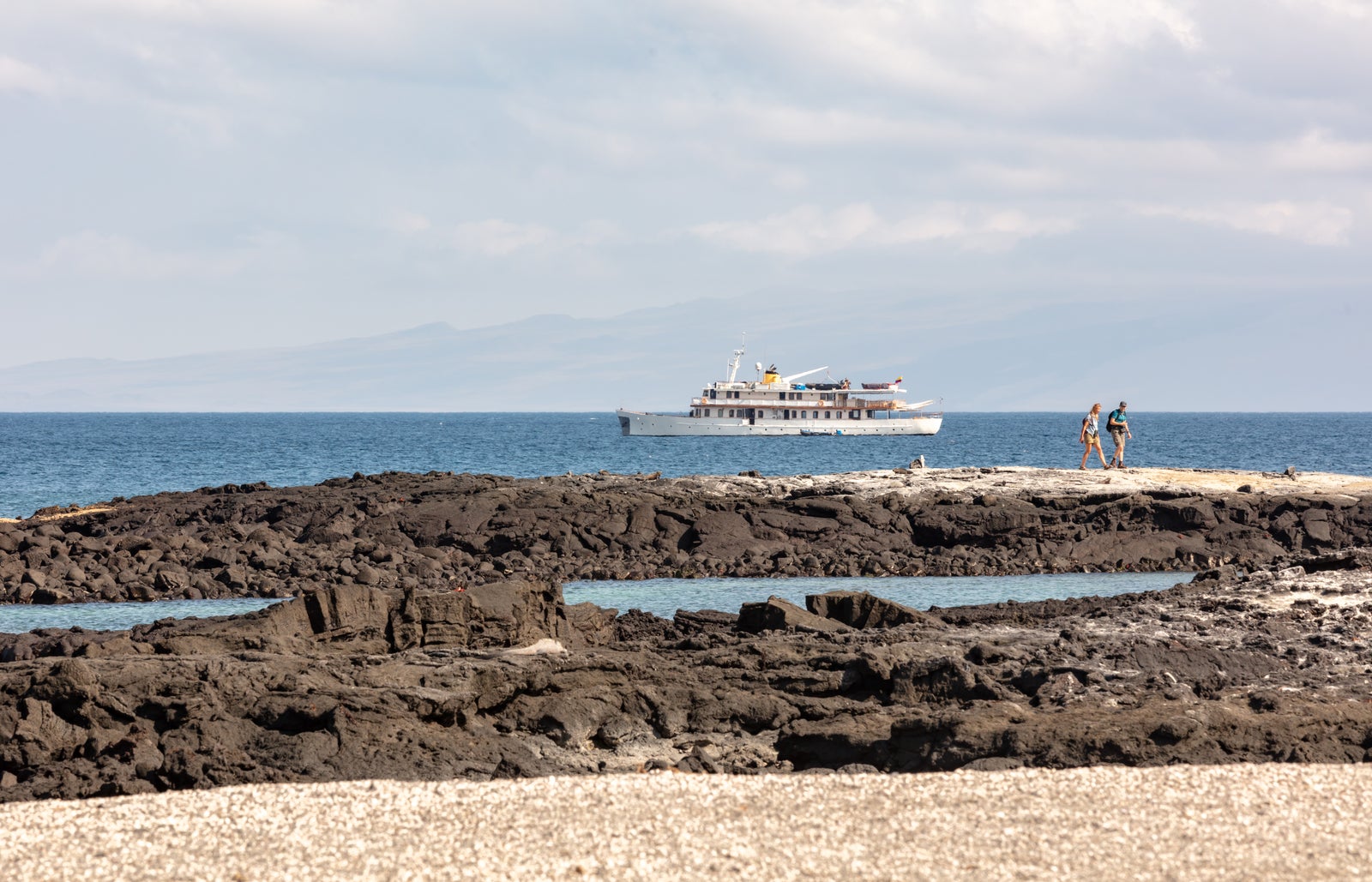 Best Galapagos cruises for an epic wildlife adventure of a lifetime The Points Guy