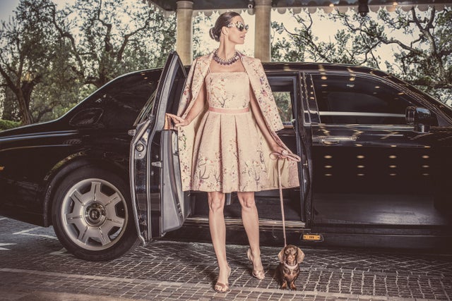 View of These hotels go all-out with luxury pet amenities - The Points Guy