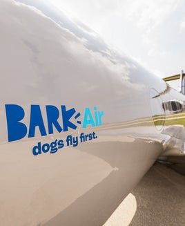Bark (Air) or bite: Cat fight over dog flights