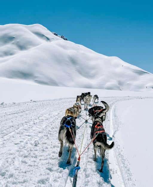 I took a $900 dog sledding and helicopter excursion on my Alaska cruise. Was it worth it?