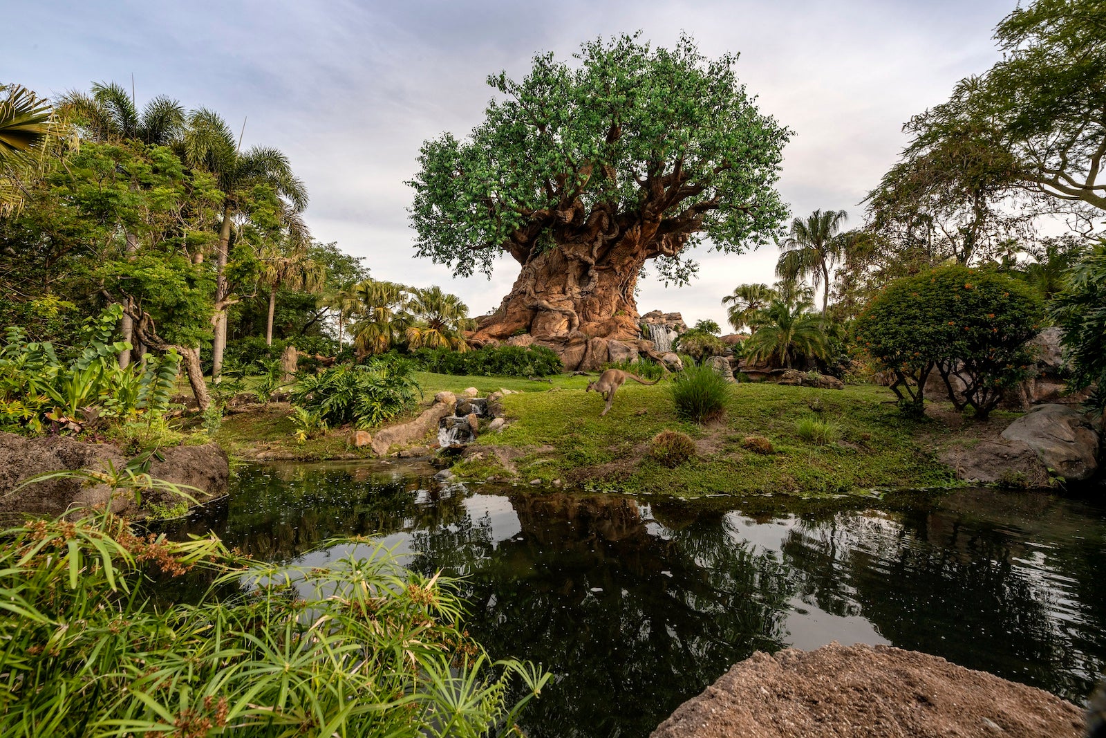 Celebrating 25 Years of Disney’s Animal Kingdom Theme Park