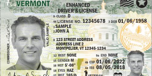 driver license for tourist in usa