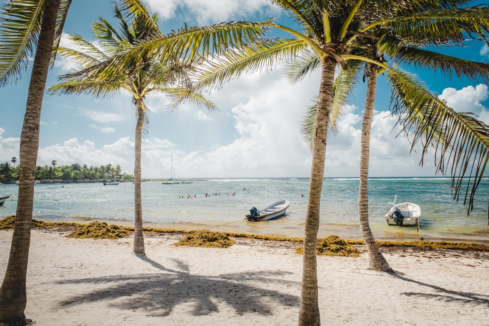 Paradise beach Akumal on the Caribbean coast of the Gulf of Mexico. White sand, palm trees and wood boats. Mexico, Riviera Maya