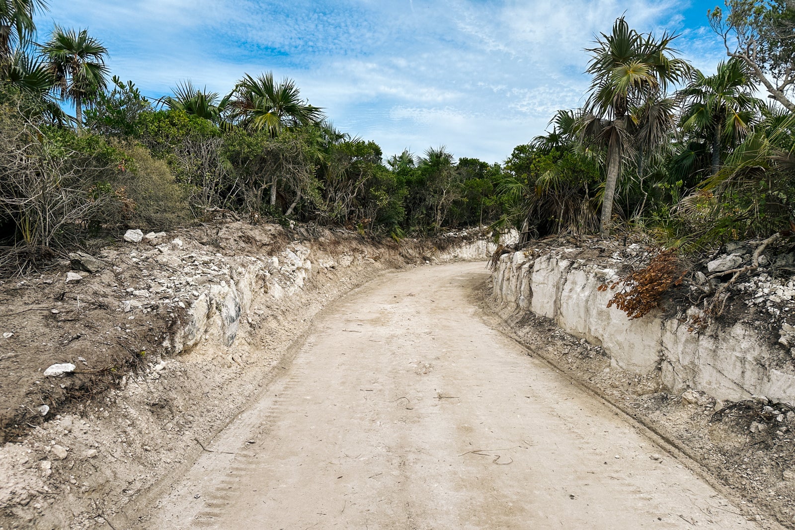 eleuthera snorkeling trips