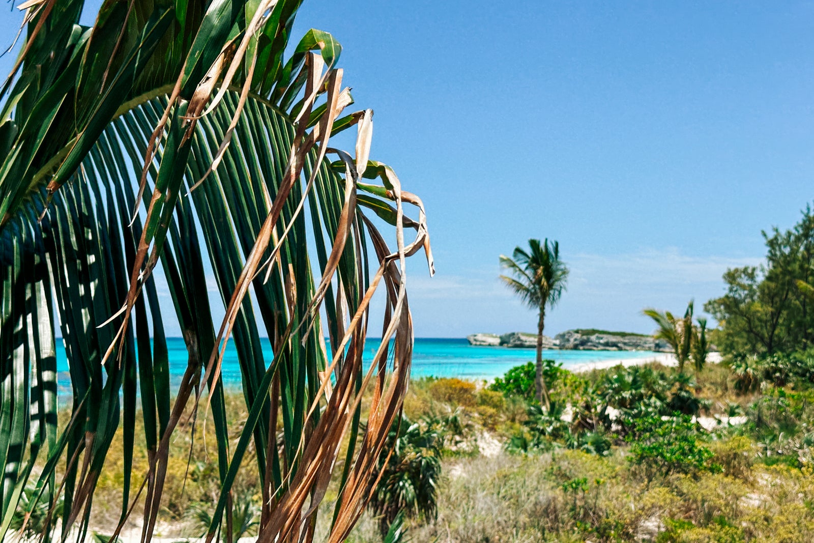 eleuthera snorkeling trips