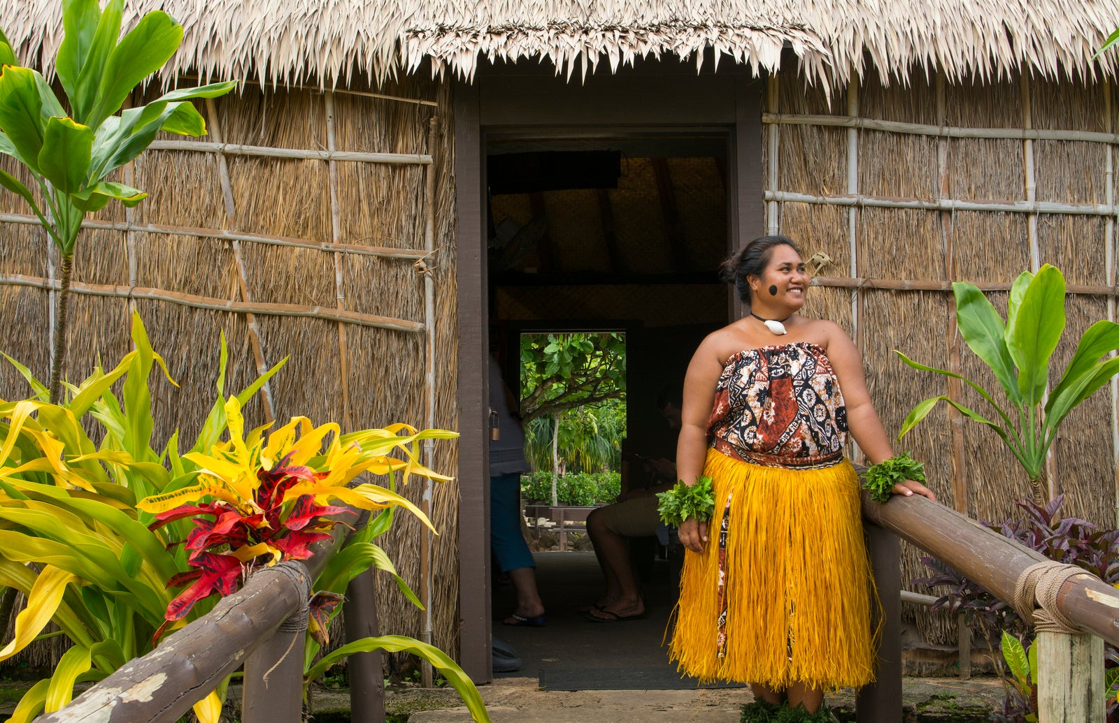 carnival shore excursions kauai