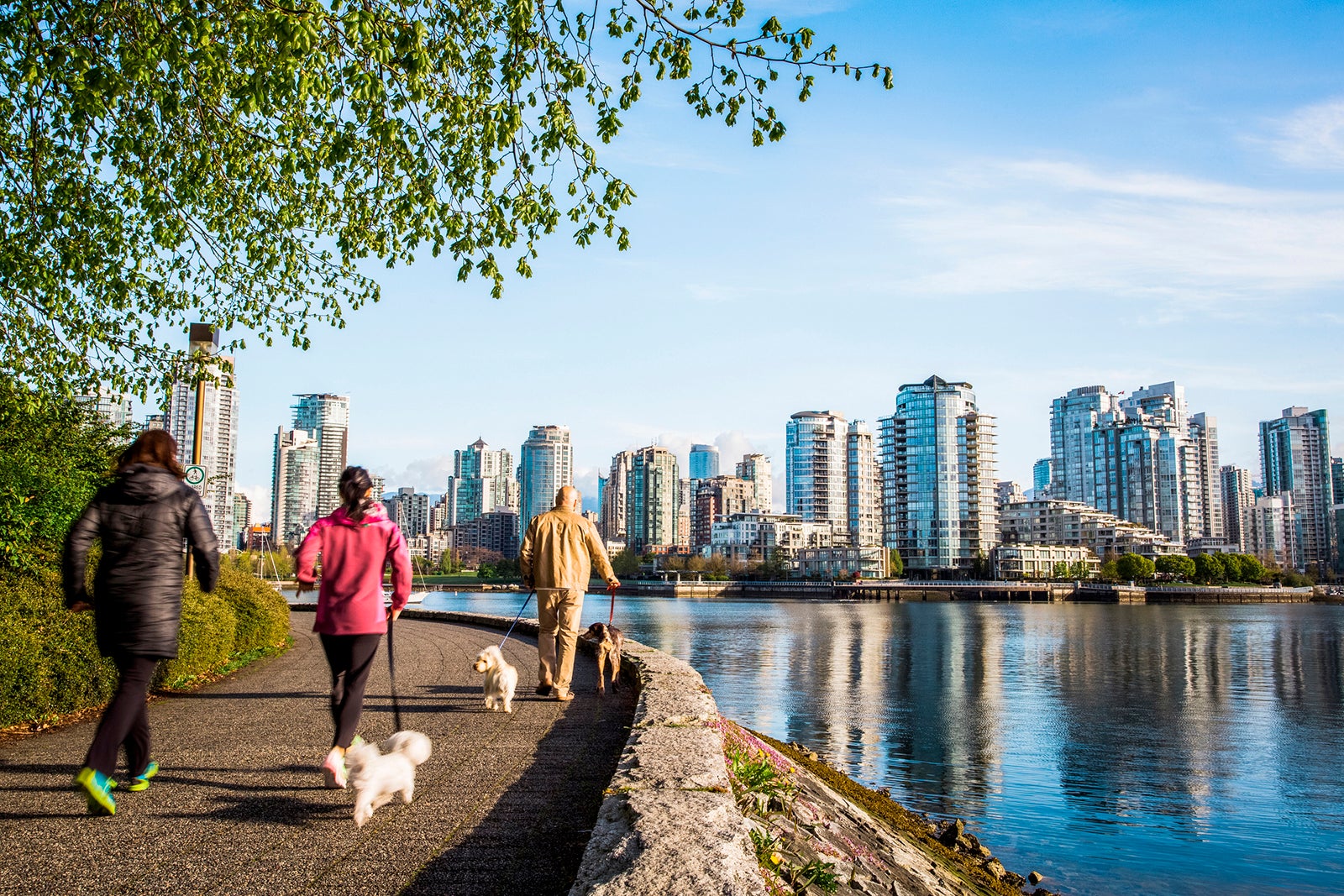 Vancouver will get a Park Hyatt in 2026, but it’s already open under a different Hyatt brand