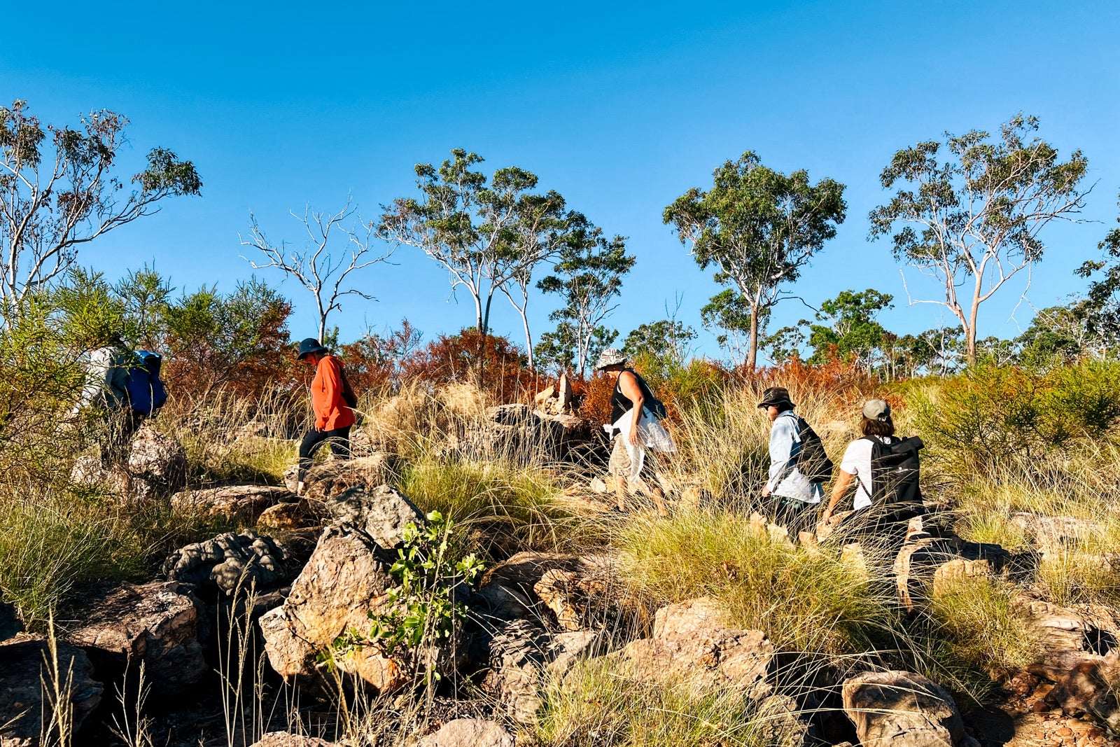 tours kimberley region australia