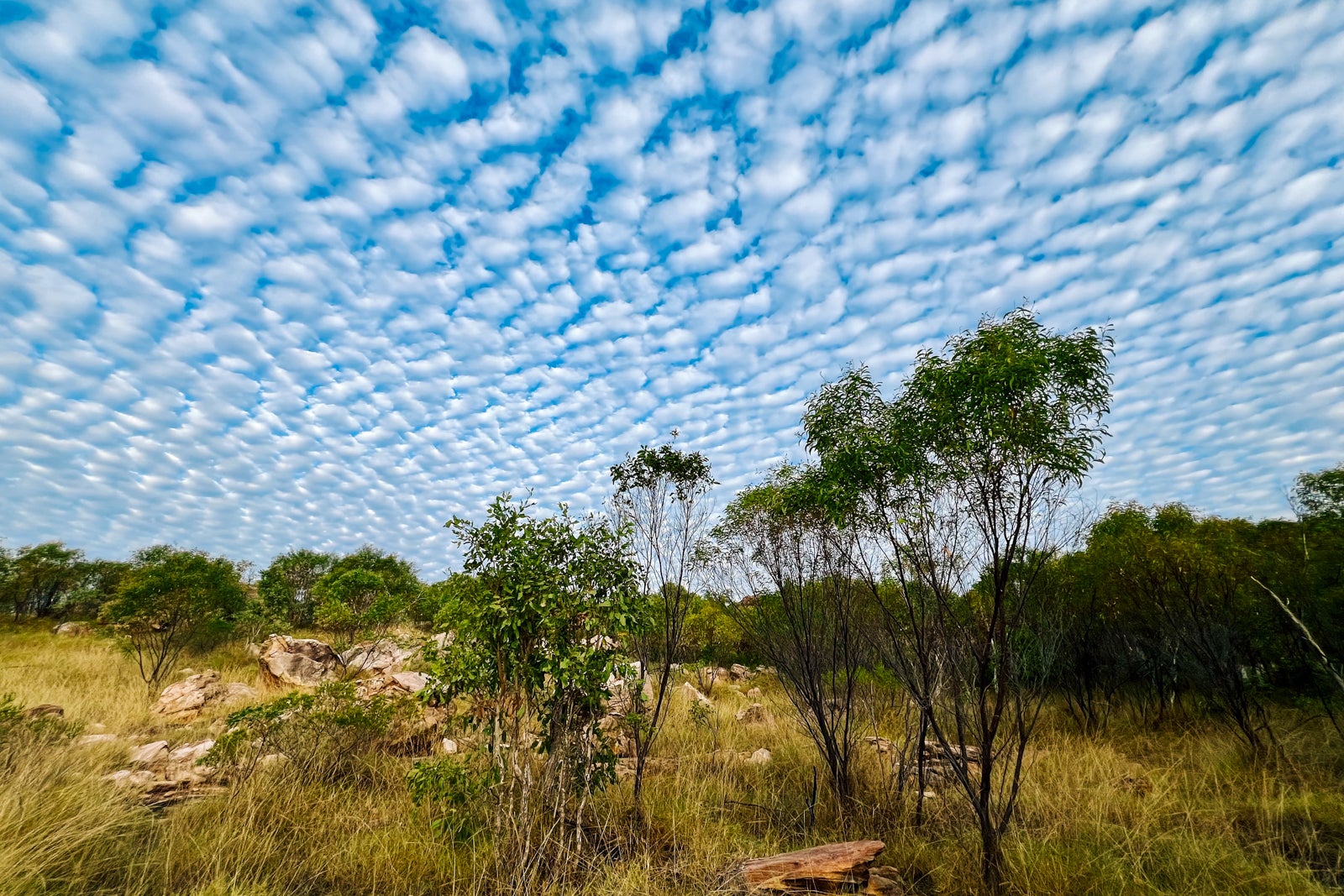 tours kimberley region australia