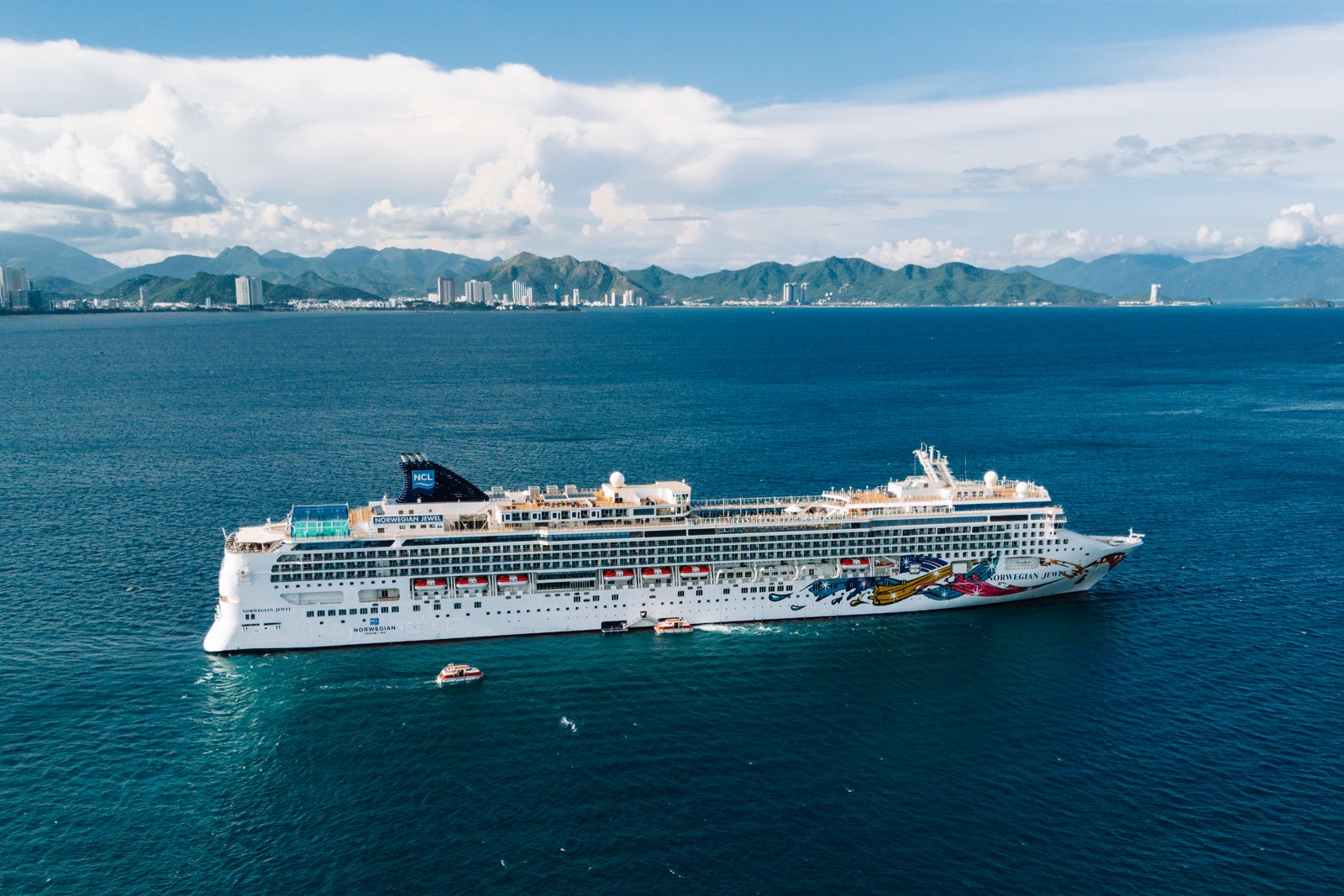 norwegian cruise line identification requirements