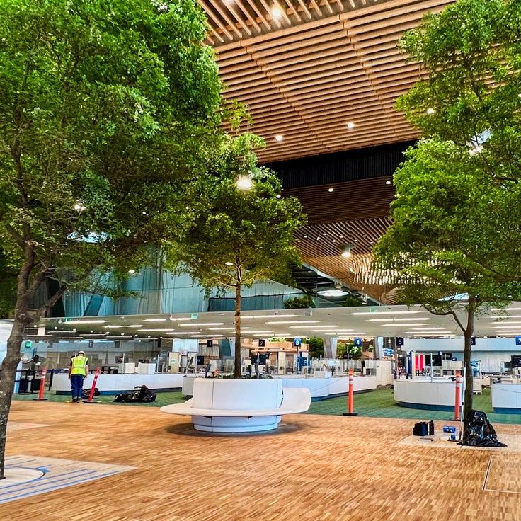 A look inside the new tree-lined main terminal at Portland International Airport