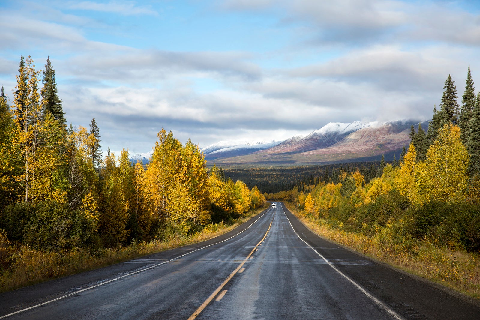 denali bus tour times