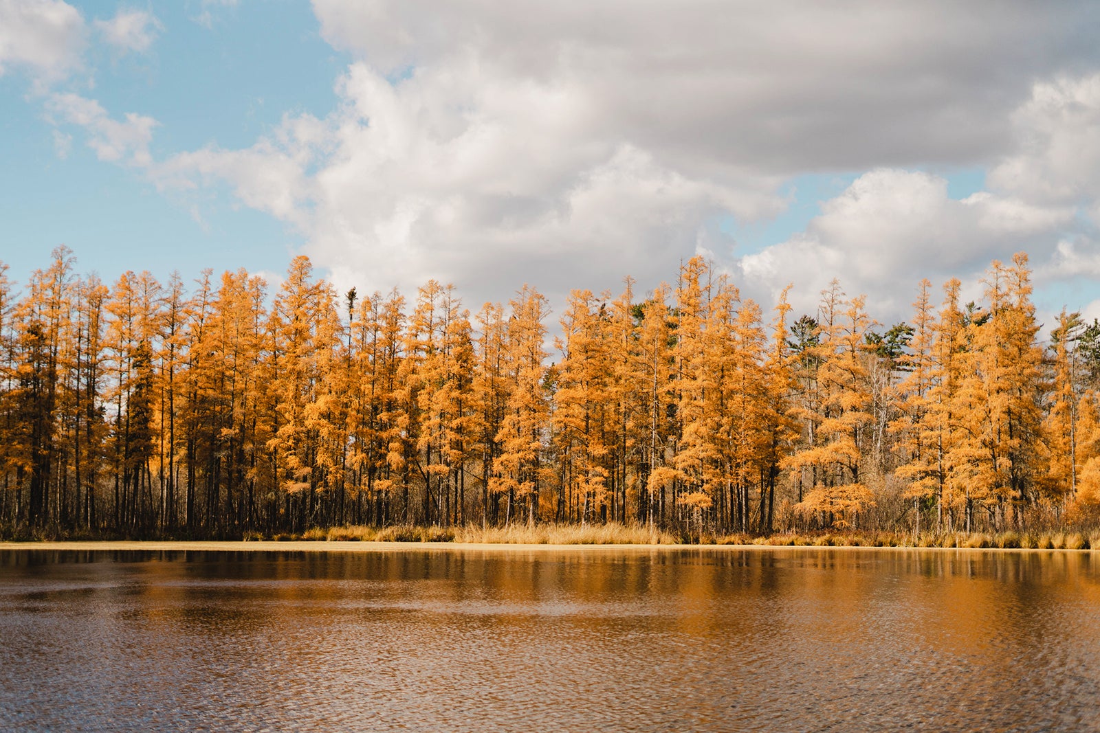 The 5 Best Midwest Road Trips for Fall Foliage The Points Guy