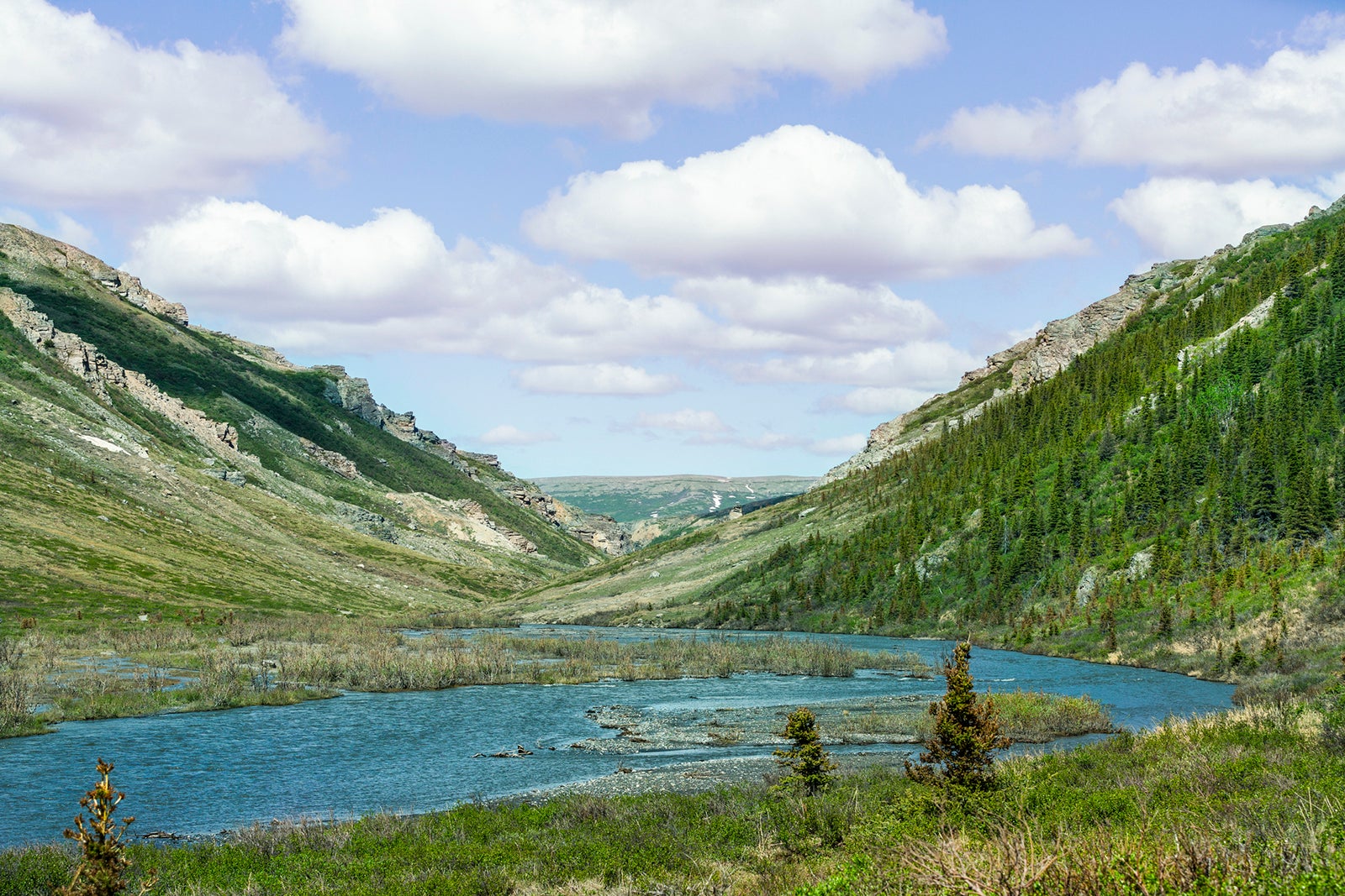 denali bus tour times