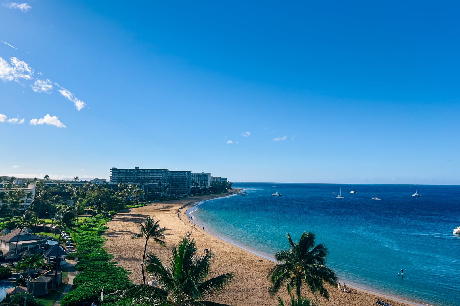 Maui is still recovering from the devastating wildfires: Here's why you should go and how to help
